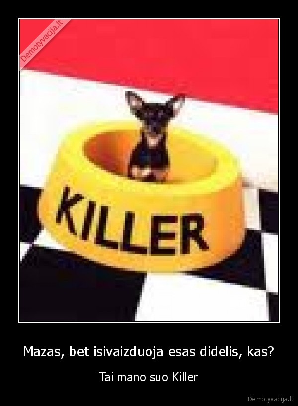 Mazas, bet isivaizduoja esas didelis, kas?