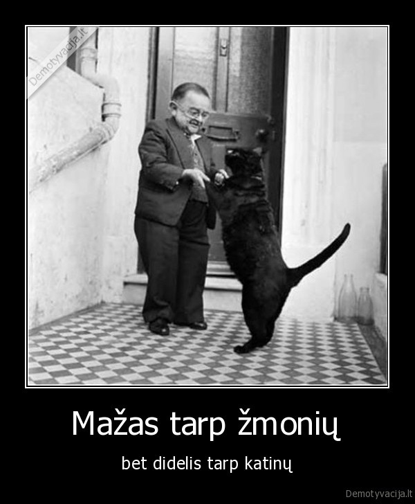 katinas, mazas, zmogus