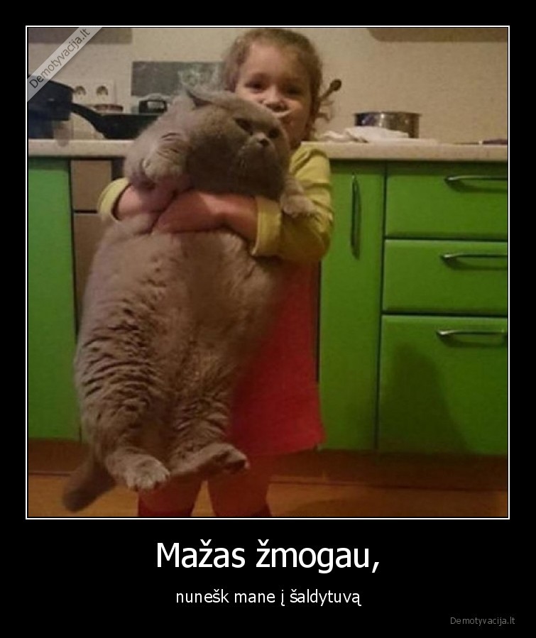 katinas,storas,kate,vaikas,mergaite