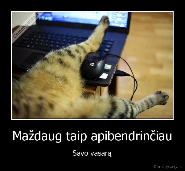 vasaros, apibendrinimas,vasara, prie, kompo