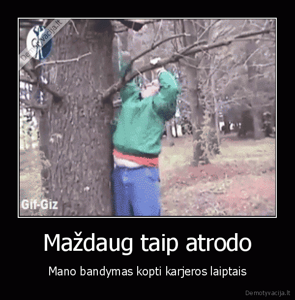 karjera,darbas,lipa, i, medi