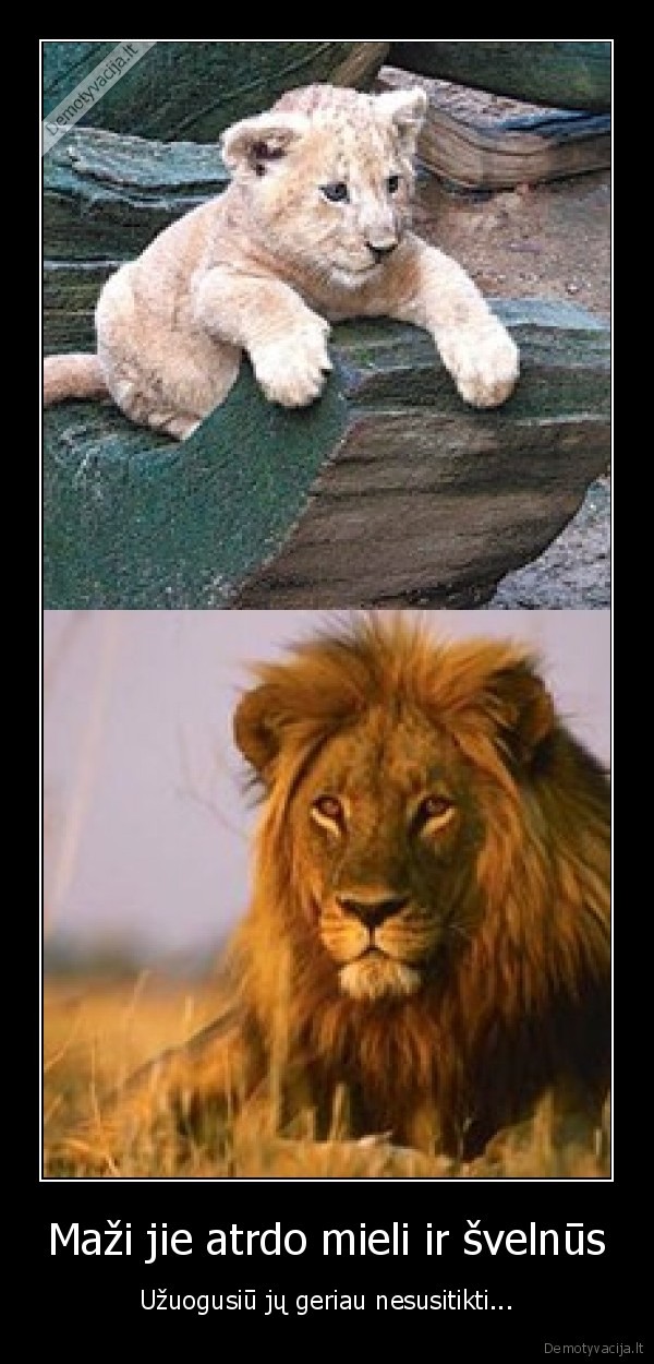 Maži jie atrdo mieli ir švelnūs