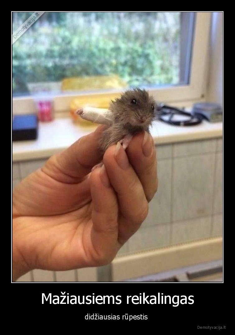 maziausi,pele,peliukas,rupestis