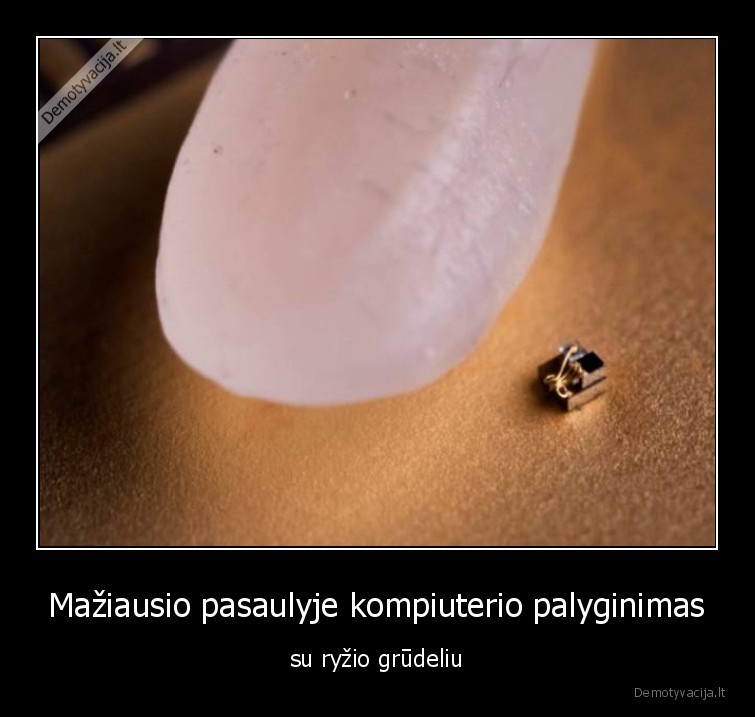 kompiuteris,ryziai,grudelis,maziausias, pasaulyje,rekordai,idomybes