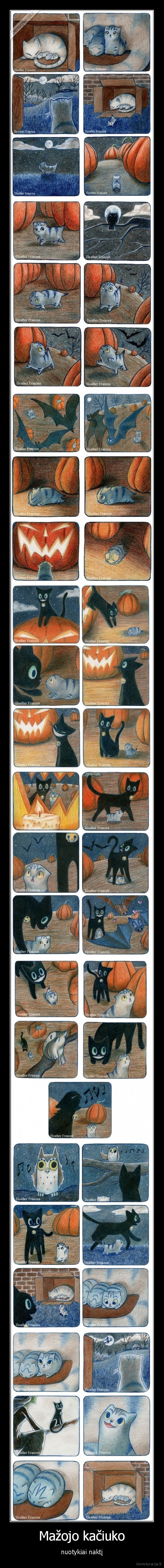 kate,katinas,kaciukas,nuotykiai,moliugas,ragana