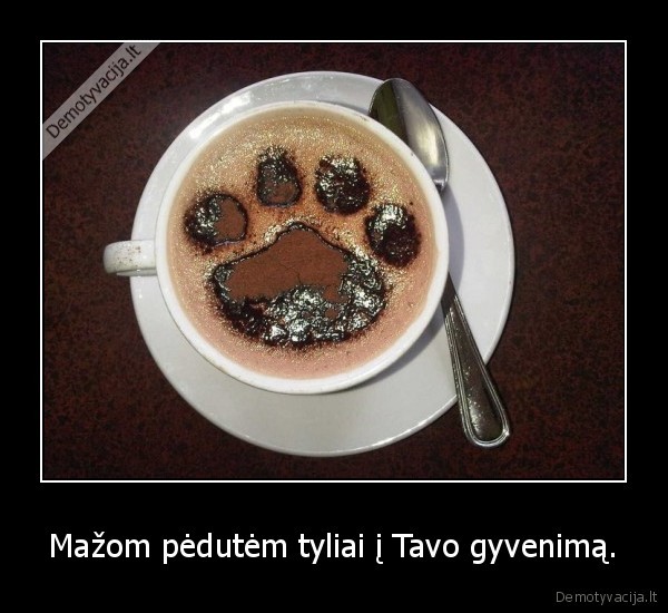 Mažom pėdutėm tyliai į Tavo gyvenimą.