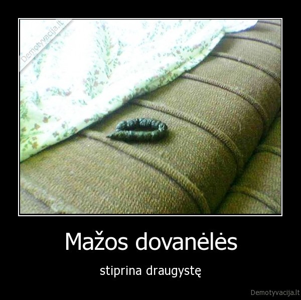 sudas,suo,siurprizas