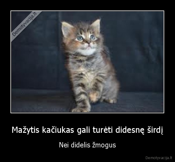 mazas,kaciukas,didele, sirdis,zmogus