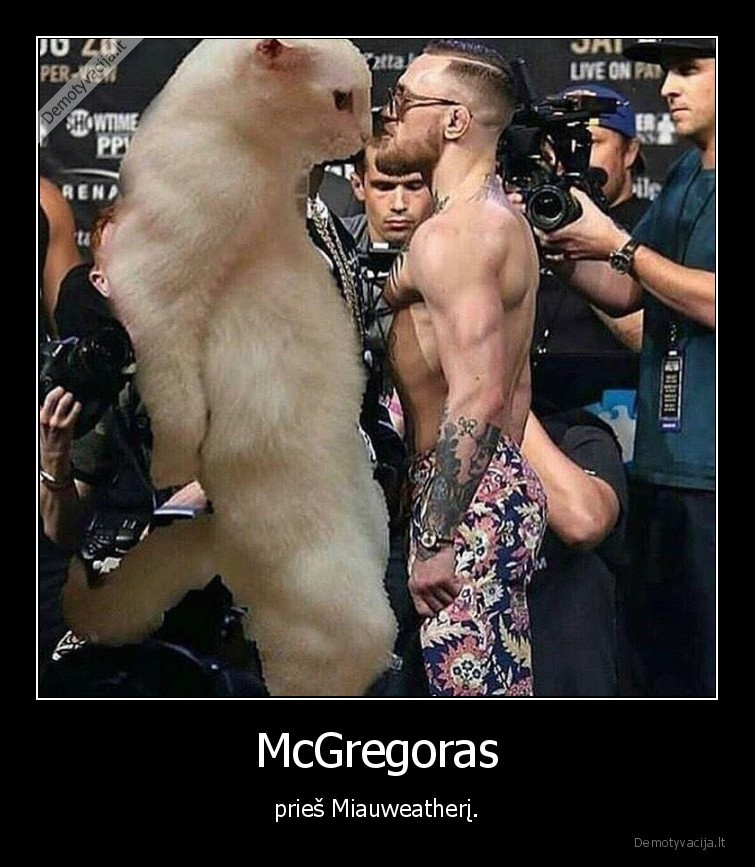 mcgregor,mayweather,kate,katinas