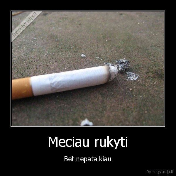 Meciau rukyti