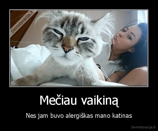 alergija, vaikinui,merginos, pasiteisinimas