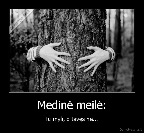 Medinė meilė: