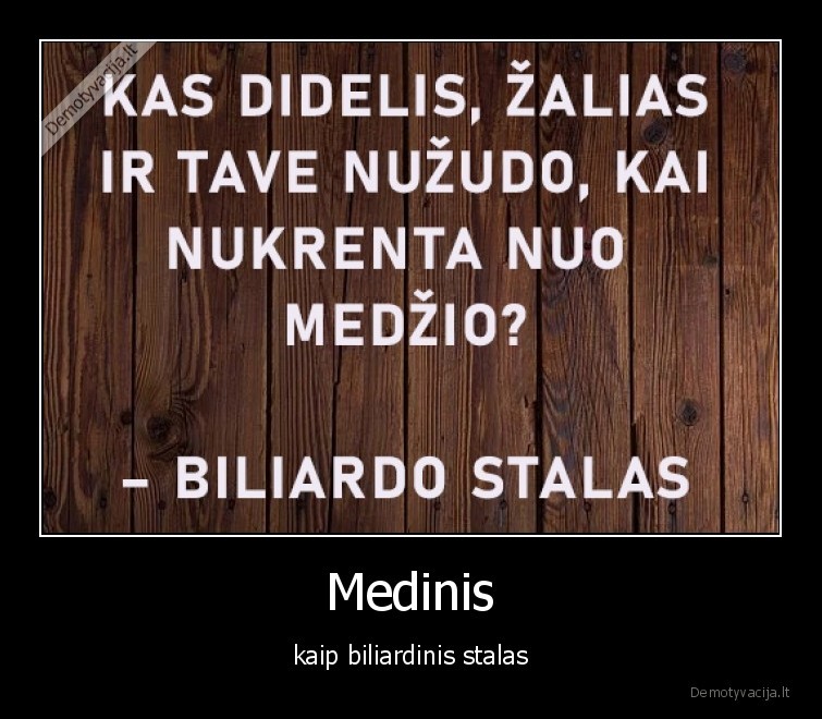 medinis,bajeris,anekdotas,biliardas