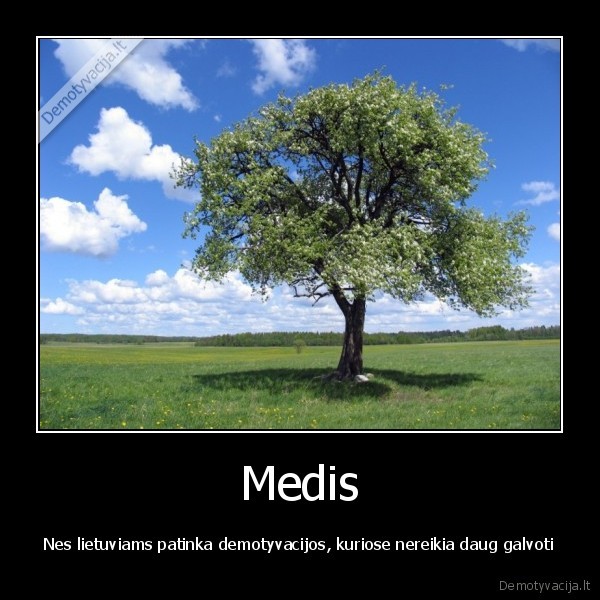 Medis