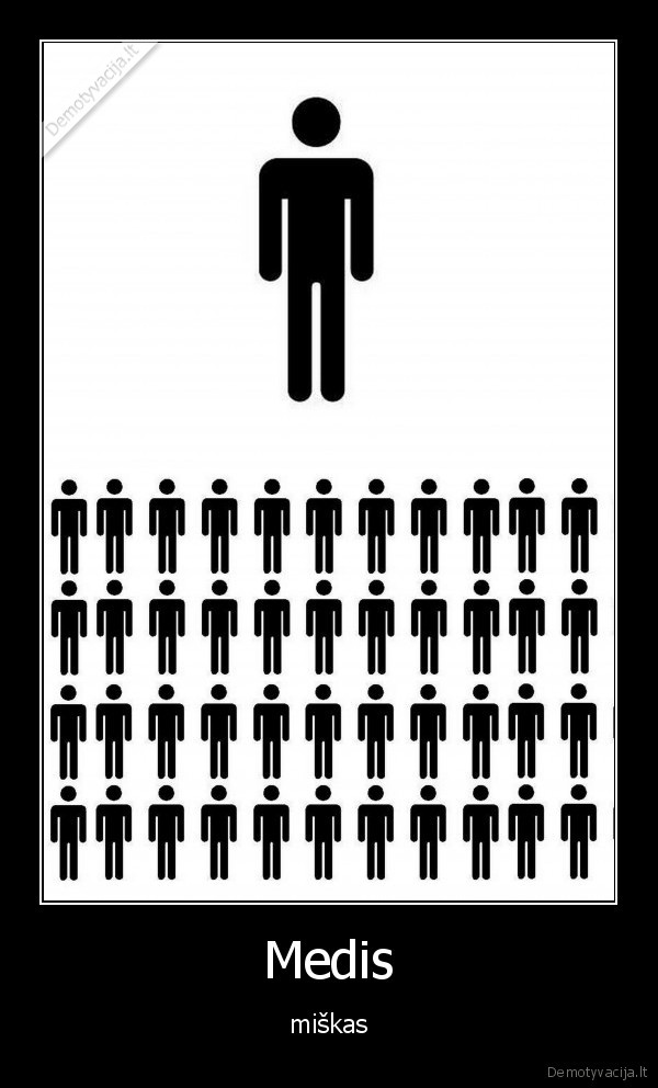medziai, miskai, vyrai, bernai
