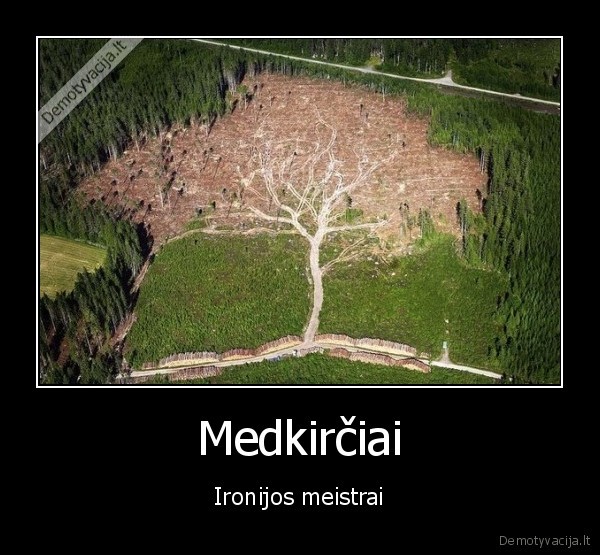Medkirčiai