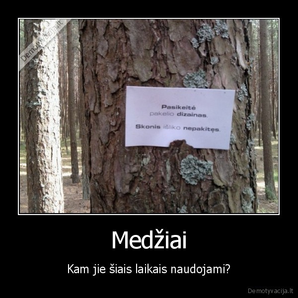 medziai
