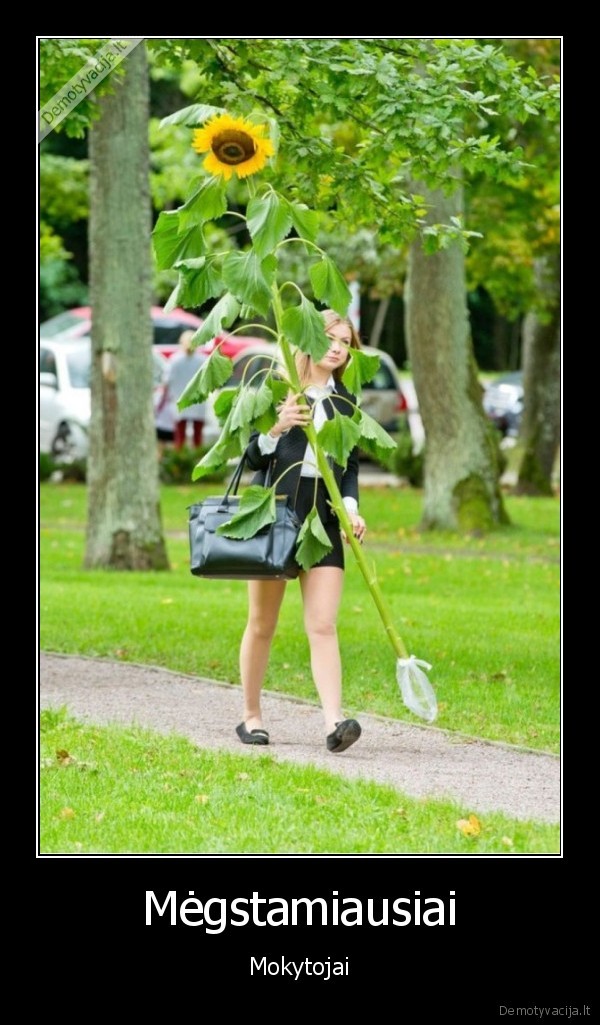 saulegrazos,didele, saulegraza,semkos