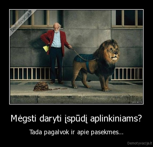 liutas,daug, sudu,liutas, ant, pavadzio,daryti, ispudi,galvoti, apie, pasekmes