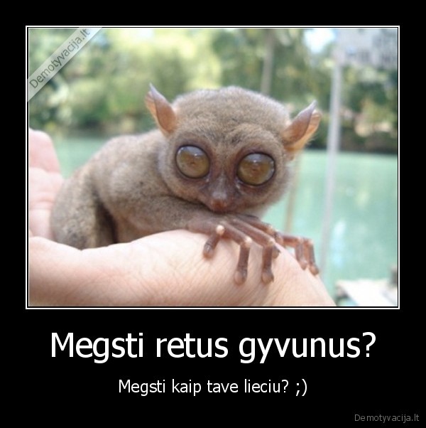 Megsti retus gyvunus?