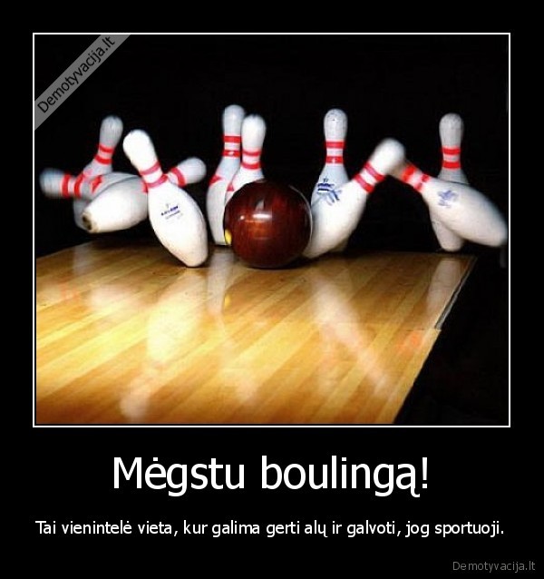 sportas,boulingas,alus,laisvalaikis