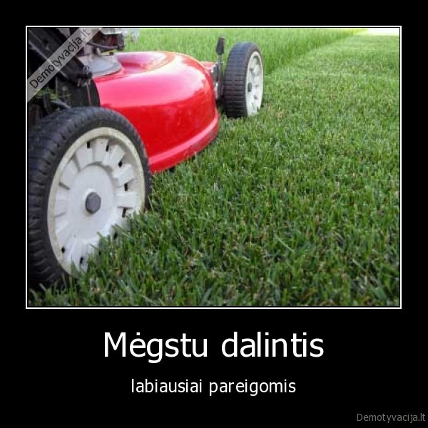 darbas,pareigos,pareiga,dalinimasis,gerumas