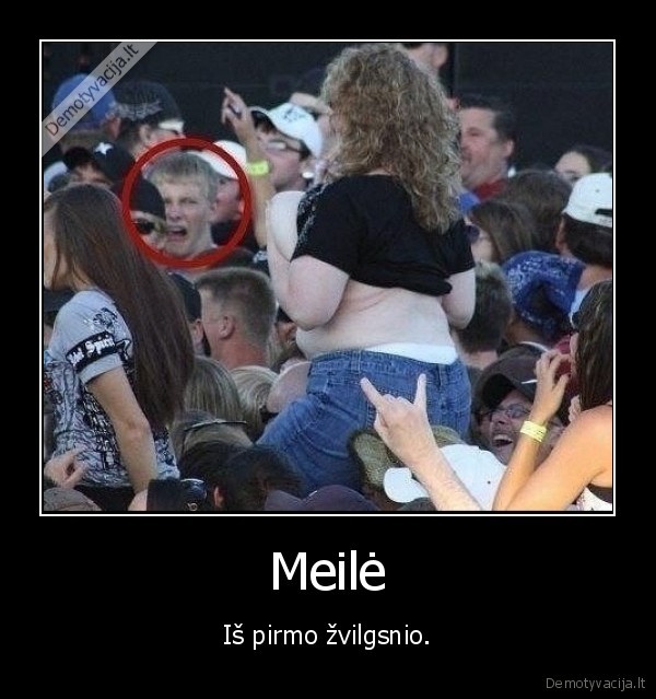 meile,zvilgsnis,storule