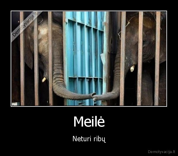 Meilė