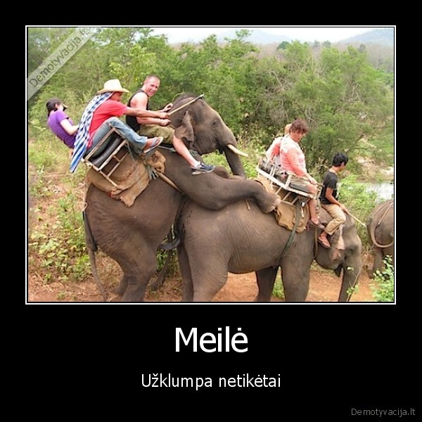 bubilius, kybys, meile, nx, tu, ziuri, i, sitas, zymes