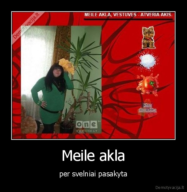 aklas, briedis, meile, akla, telycia, parselis, su, peruku