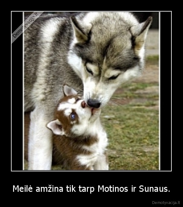 Meilė amžina tik tarp Motinos ir Sunaus.