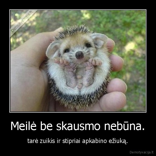 Meilė be skausmo nebūna.