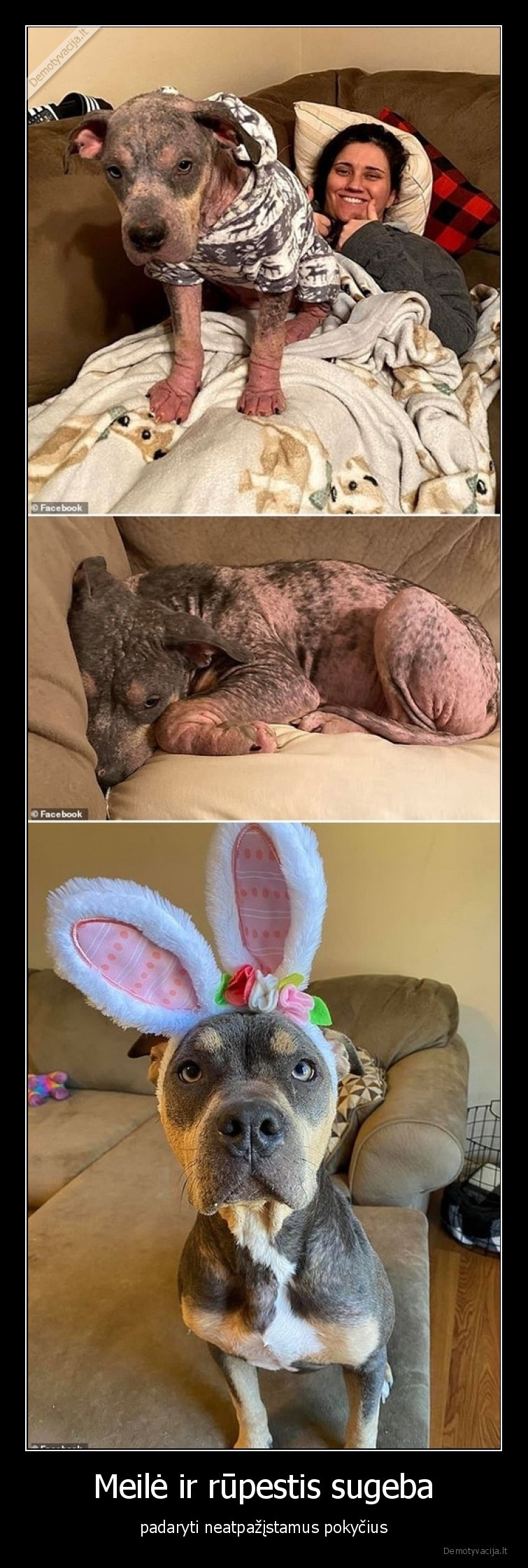 suo,pokyciai,meile,rupestis