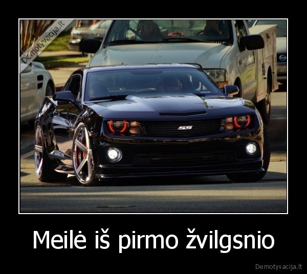 Meilė iš pirmo žvilgsnio