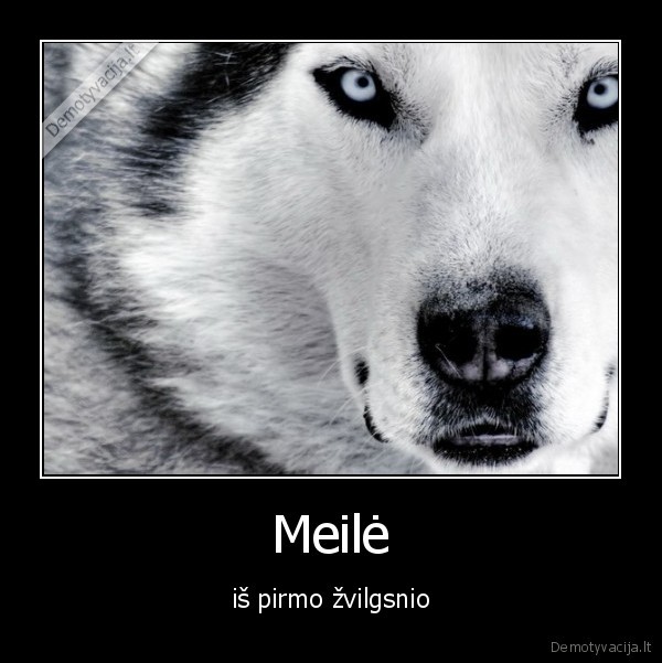 Meilė