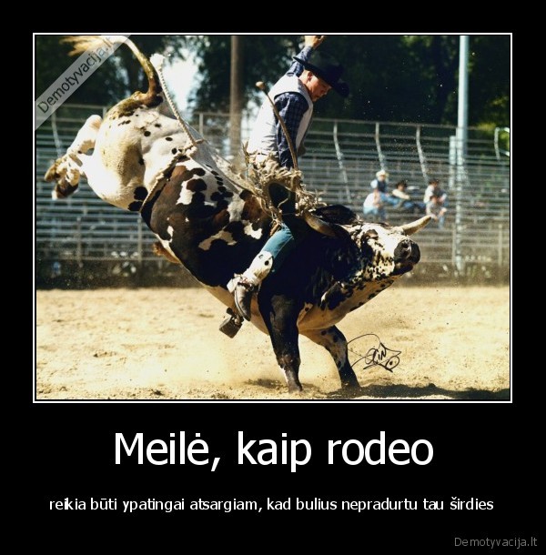 Meilė, kaip rodeo