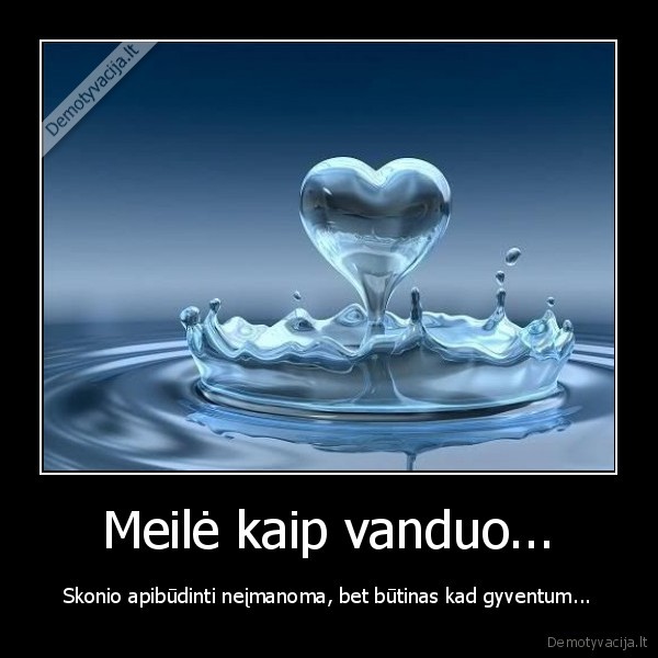 zmones,skonis,gyvenimas,jausmas