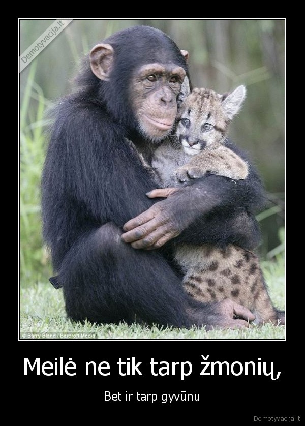 Meilė ne tik tarp žmonių,