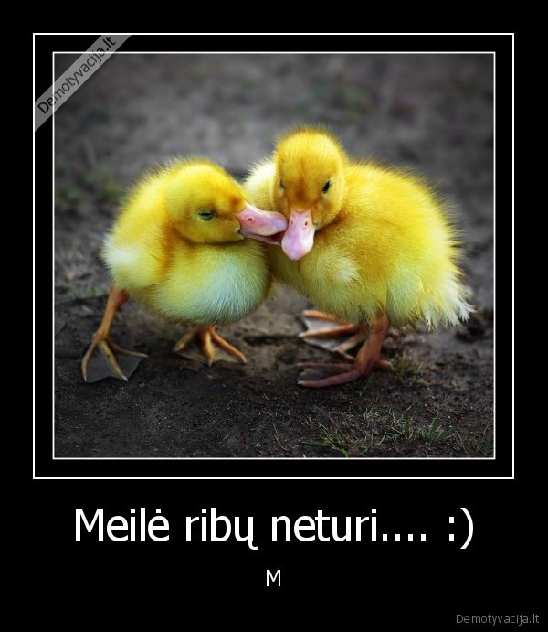 Meilė ribų neturi.... :)