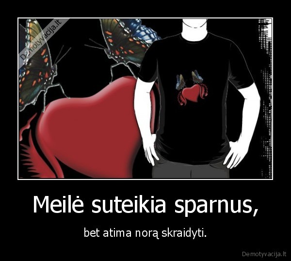 Meilė suteikia sparnus,