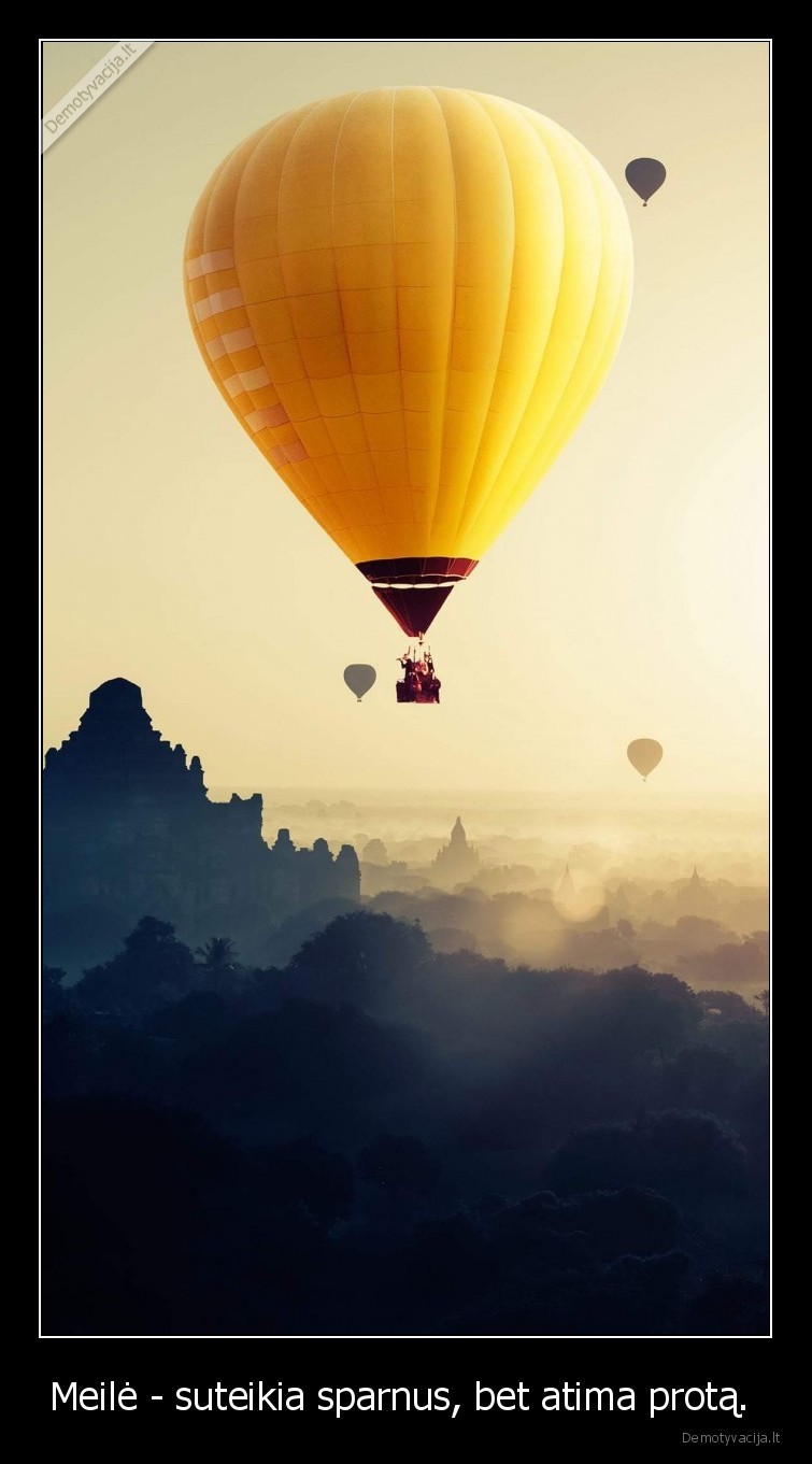 Meilė - suteikia sparnus, bet atima protą. 