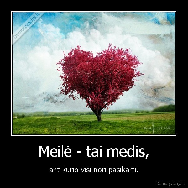 Meilė - tai medis,