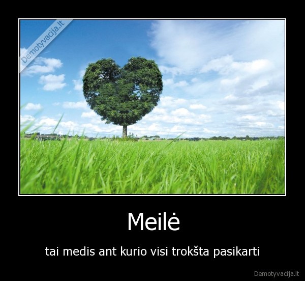 Meilė