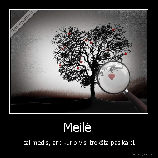 Meilė 