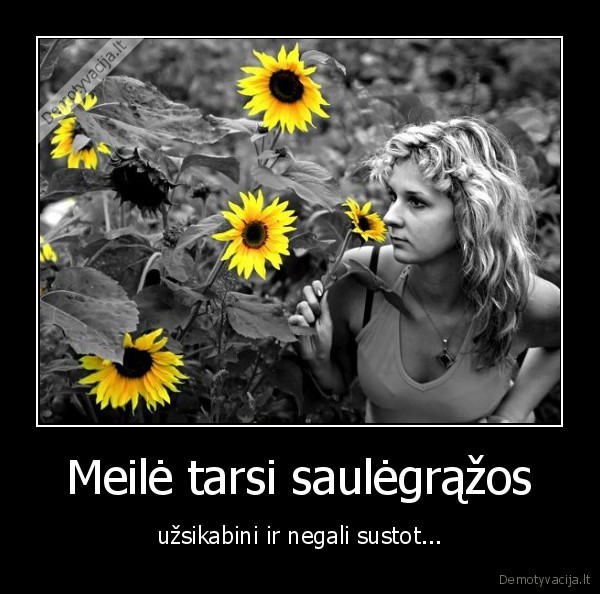 Meilė tarsi saulėgrąžos