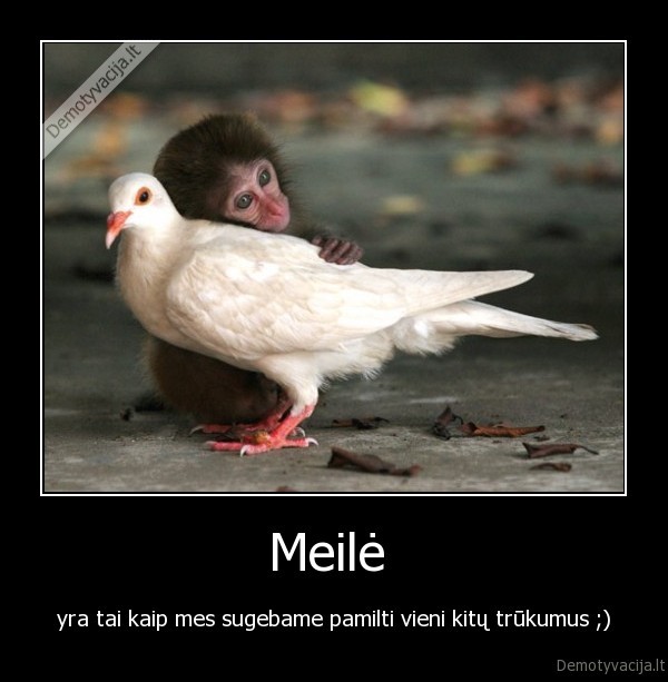 meile