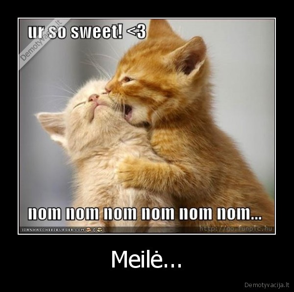 niom,niom,niom,niom,niom