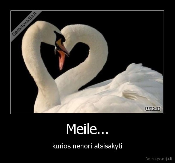 Meile...