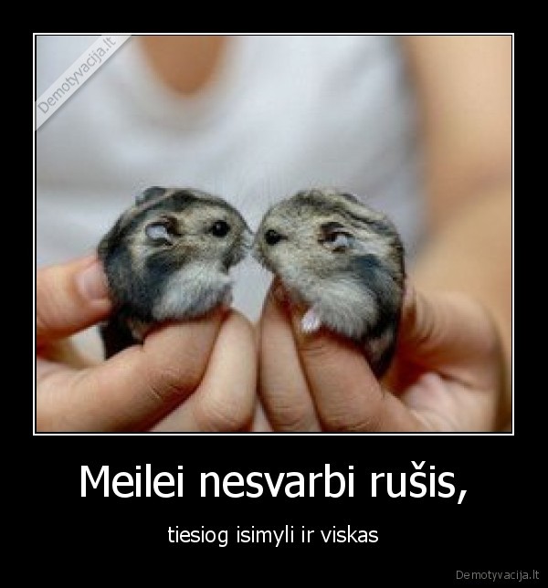 Meilei nesvarbi rušis,