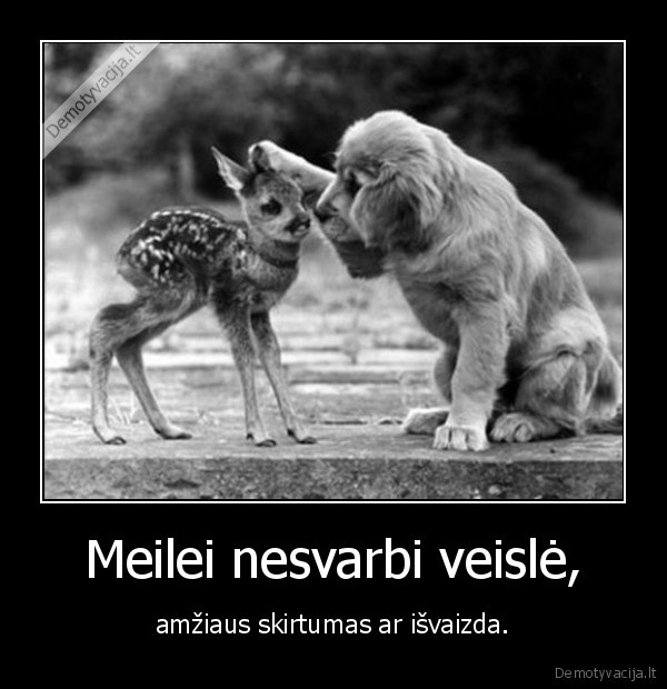 Meilei nesvarbi veislė,